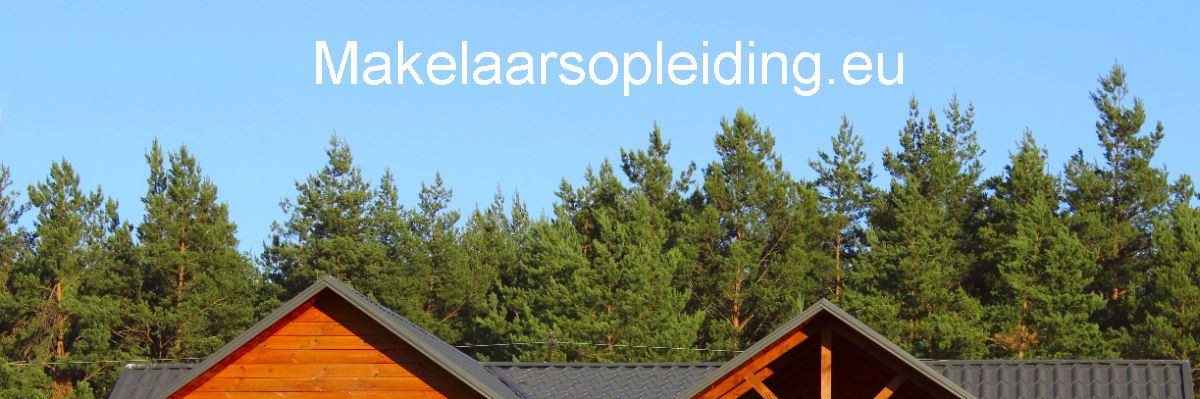 makelaarsopleiding.blog-lognes.com